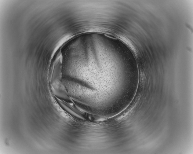 X0000093481138200710261033