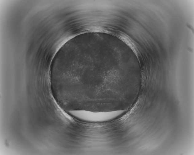 X0000093481141200710261034