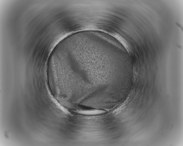 X0000093481142200710261034