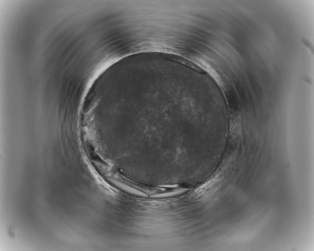 X0000093481144200710261034