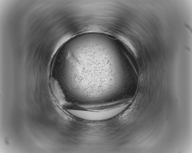 X0000093481146200710261034
