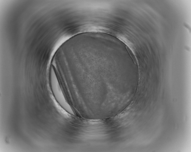 X0000093481152200710261034