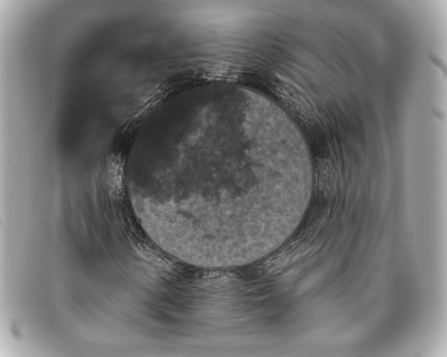 X0000093481154200710261033