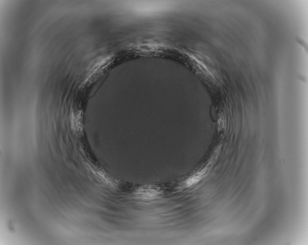 X0000093481156200710261033
