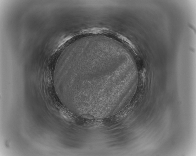 X0000093481158200710261033