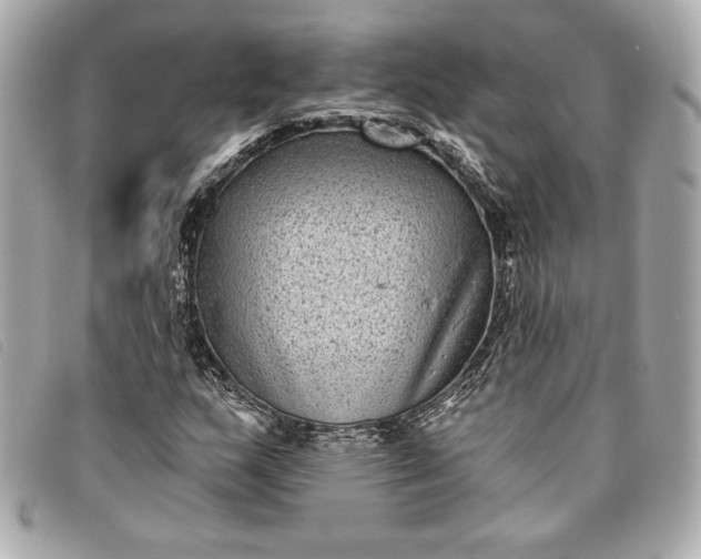X0000093481159200710261033