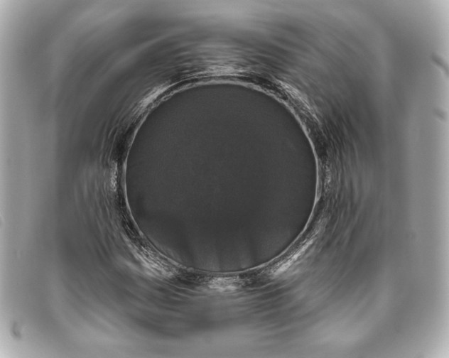 X0000093481161200710261033