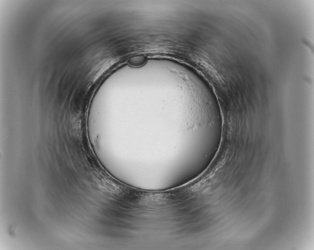 X0000093481162200710261033