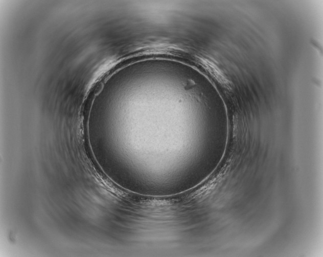 X0000093481164200710261033