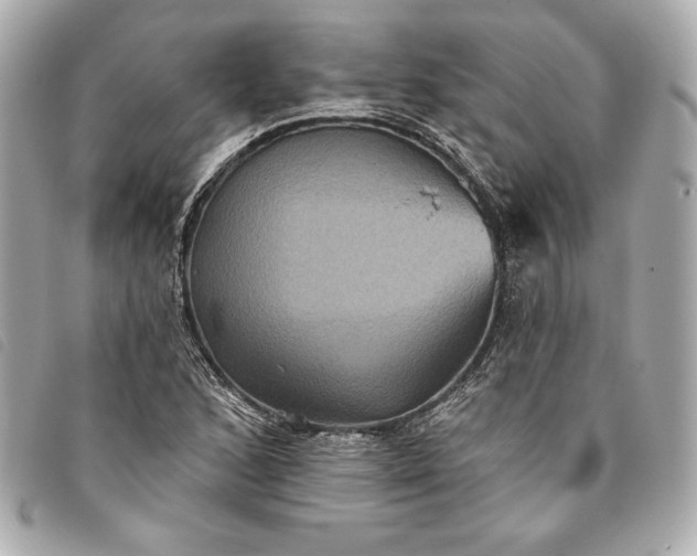 X0000093481168200710261033