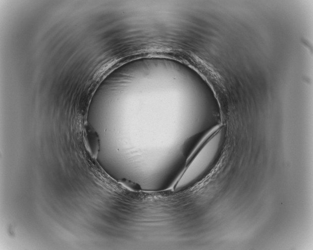 X0000093481169200710261033