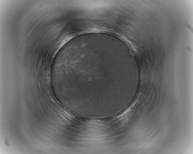 X0000093481170200710261033