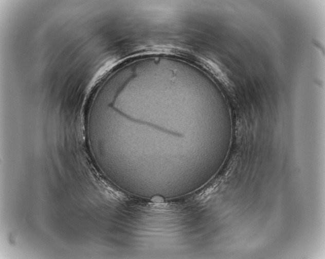 X0000093481172200710261033