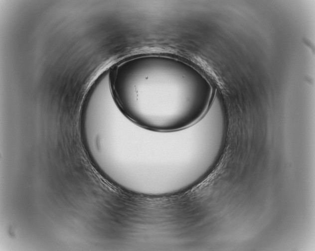 X0000093481173200710261033