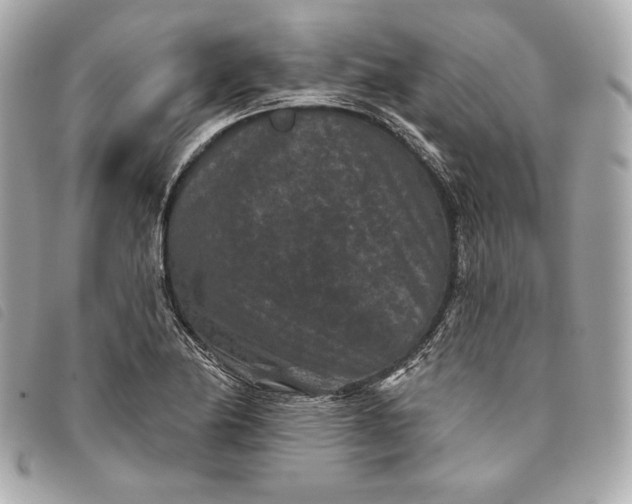X0000093481174200710261033