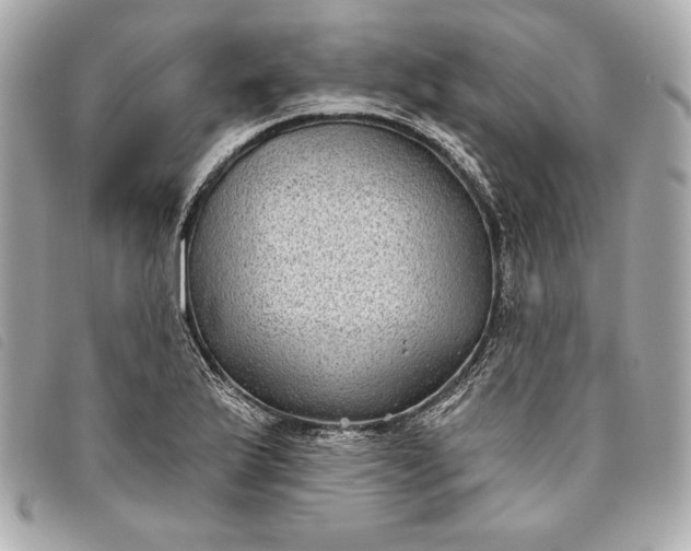 X0000093481175200710261033