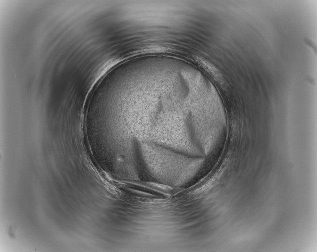 X0000093481178200710261033