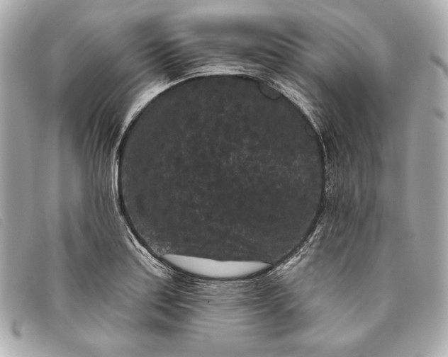 X0000093481179200710261033