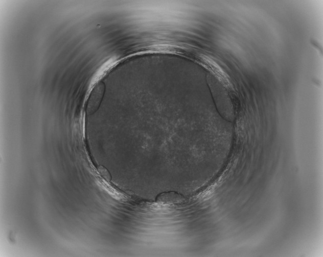X0000093481180200710261033