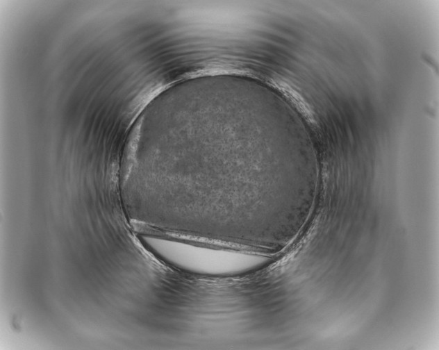 X0000093481185200710261033