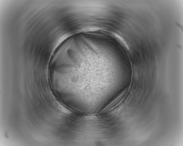 X0000093481186200710261033