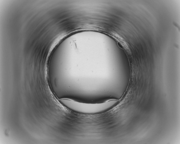 X0000093481188200710261033