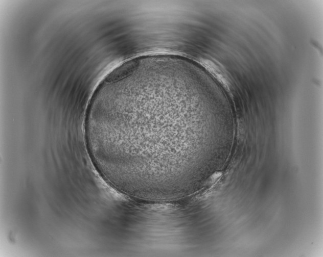 X0000093481189200710261033