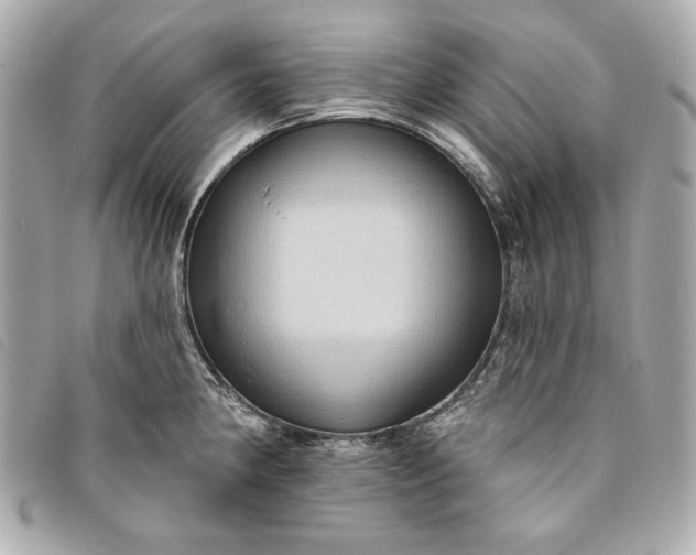 X0000093481190200710261033