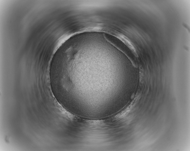 X0000093481192200710261033