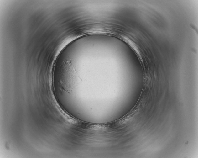 X0000093481195200710261033