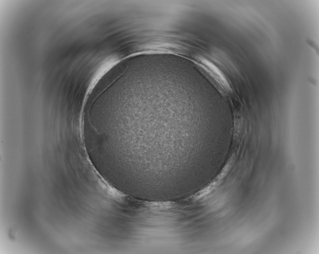 X0000093481196200710261033