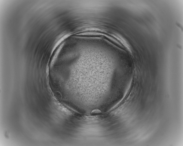 X0000093481198200710261033