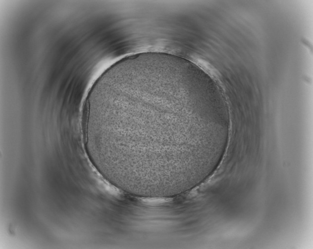 X0000093481200200710261033