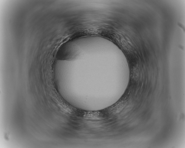 X0000093481201200710261032