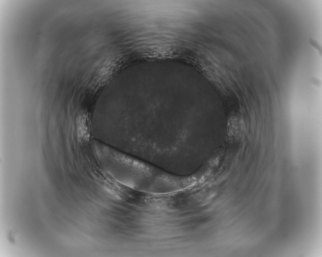 X0000093481202200710261032