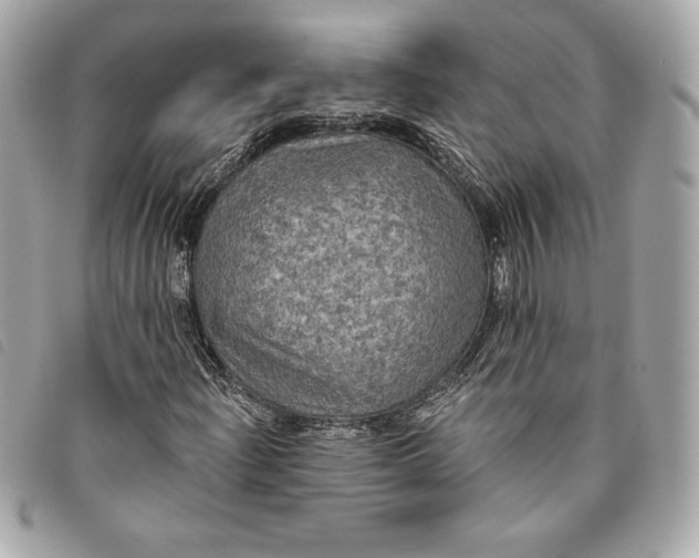 X0000093481204200710261032