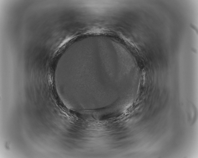 X0000093481206200710261032