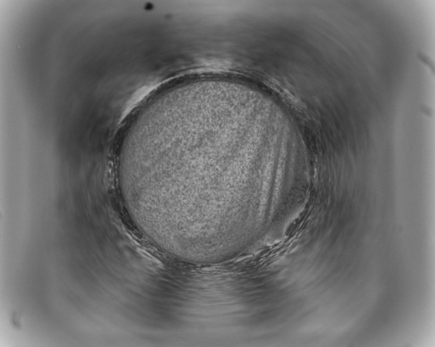 X0000093481208200710261032