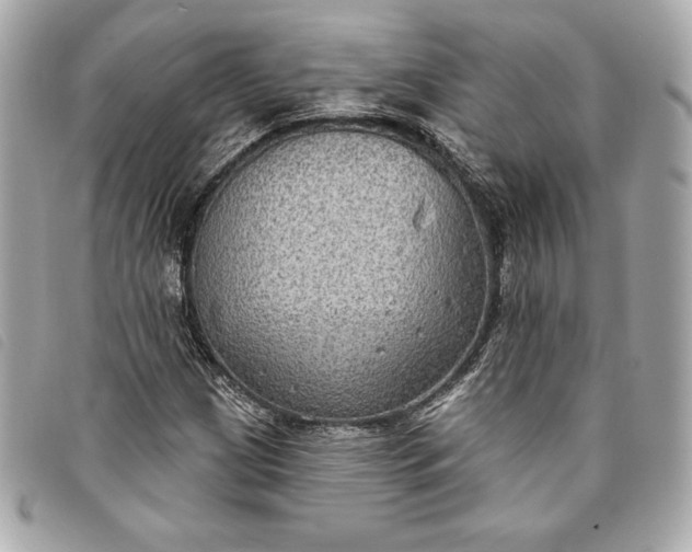 X0000093481209200710261032