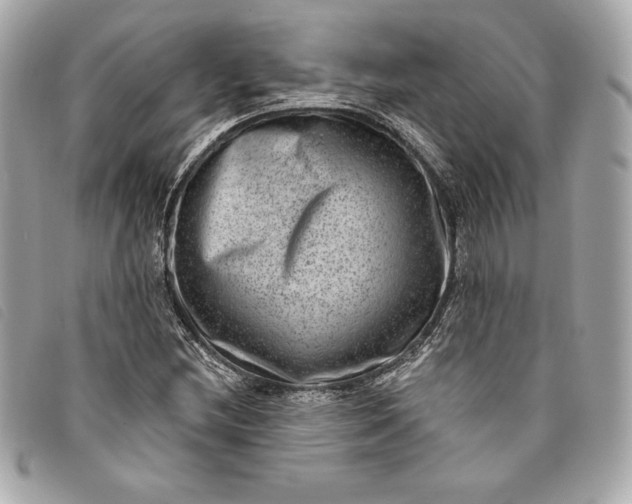 X0000093481212200710261032