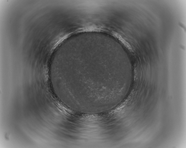 X0000093481213200710261032