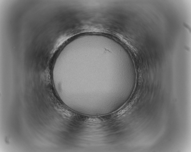 X0000093481215200710261032