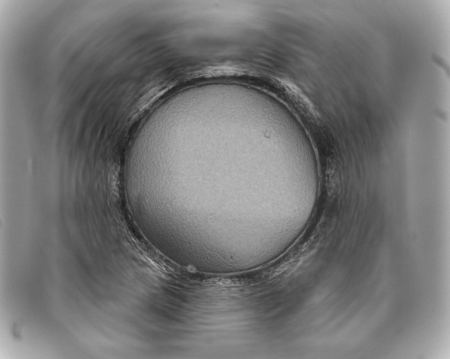 X0000093481217200710261032