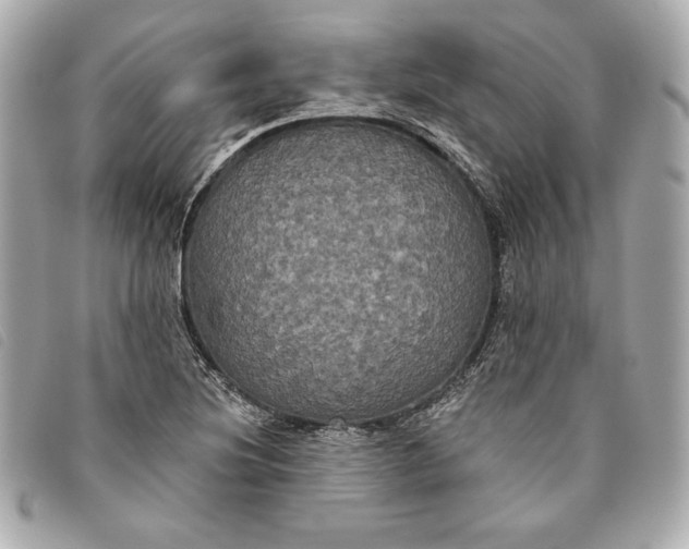 X0000093481220200710261032