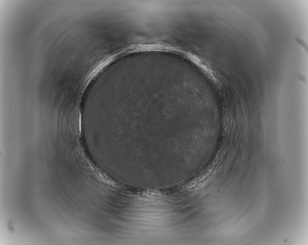 X0000093481221200710261032
