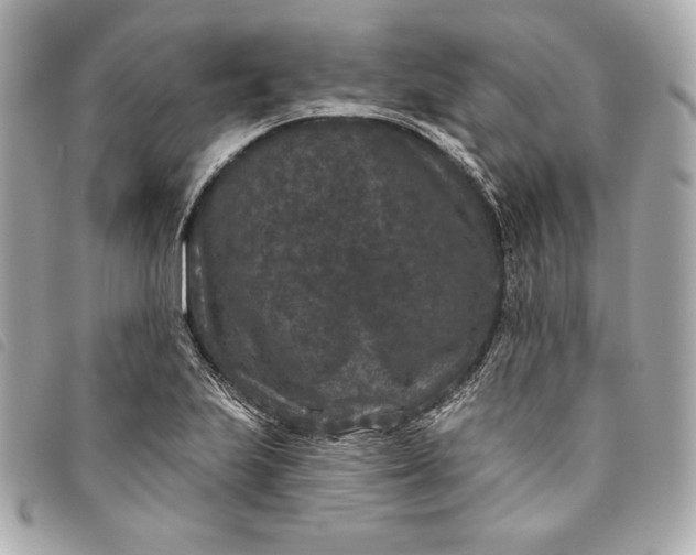 X0000093481223200710261032
