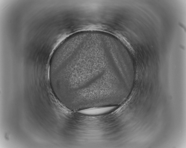 X0000093481224200710261032