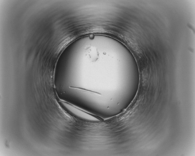 X0000093481225200710261032
