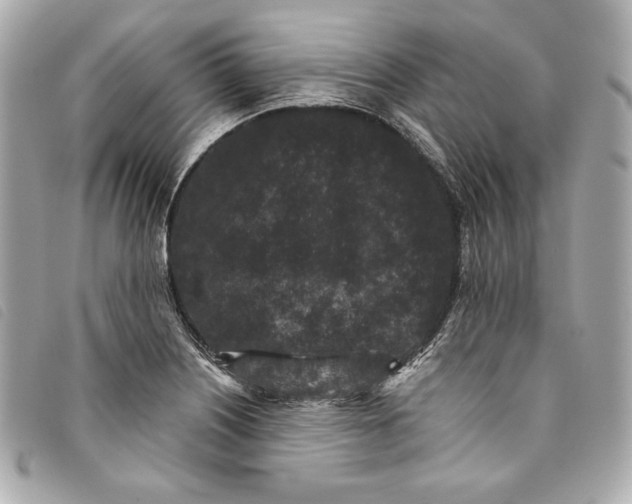 X0000093481226200710261032