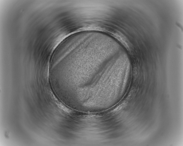 X0000093481228200710261032